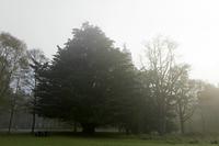 Cjp_2017-04-08_070054.jpg