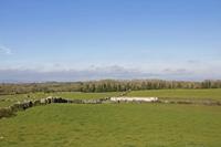 Cjp_2017-04-08_091212.jpg