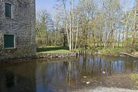 Cjp_2017-04-08_092622.jpg