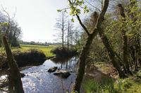 Cjp_2017-04-08_093246.jpg