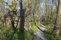 Cjp_2017-04-08_093410.jpg