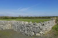 Cjp_2017-04-08_100444.jpg