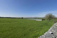 Cjp_2017-04-08_102702.jpg