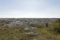 Cjp_2017-04-08_121210.jpg