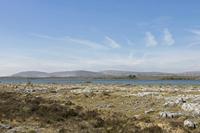 Cjp_2017-04-08_121226.jpg
