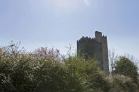 Cjp_2017-04-08_122524.jpg
