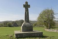 Cjp_2017-04-08_125438.jpg