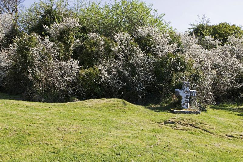 Cjp_2017-04-08_132114.jpg