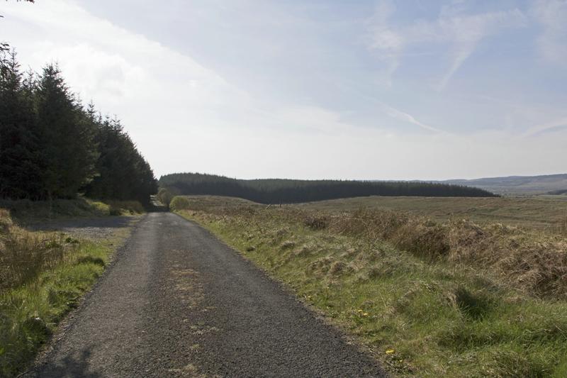 Cjp_2017-04-08_154152.jpg