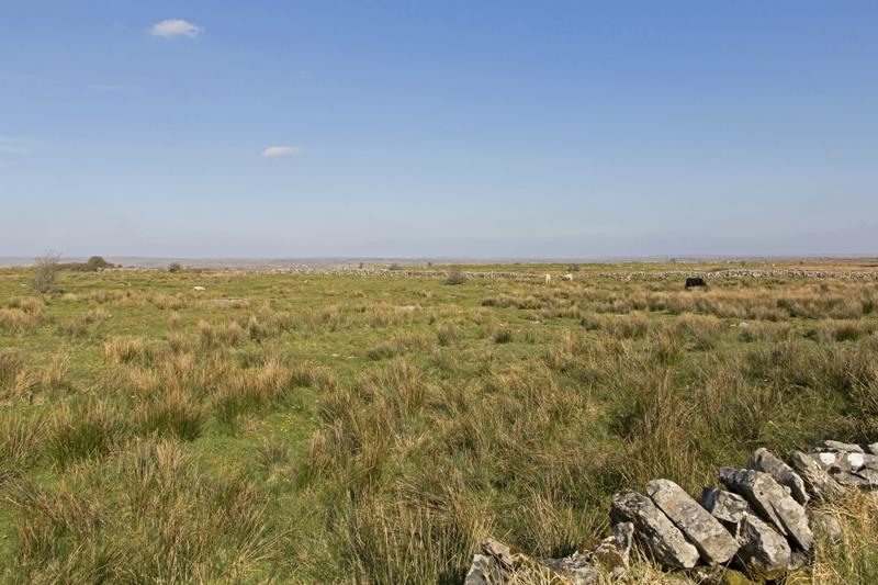 Cjp_2017-04-08_154528.jpg