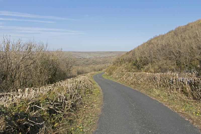 Cjp_2017-04-08_155136.jpg