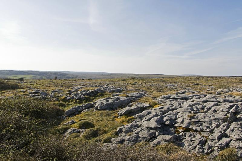 Cjp_2017-04-08_162750.jpg