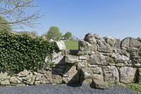Cjp_2017-04-08_131438.jpg