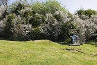 Cjp_2017-04-08_132114.jpg