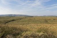Cjp_2017-04-08_154048.jpg