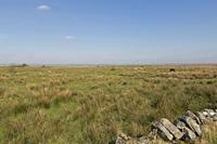 Cjp_2017-04-08_154528.jpg