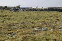Cjp_2017-04-08_154958.jpg
