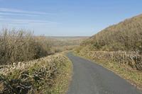 Cjp_2017-04-08_155136.jpg