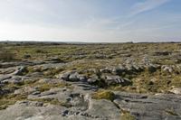 Cjp_2017-04-08_161932.jpg
