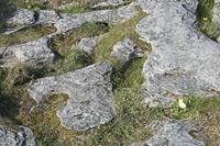 Cjp_2017-04-08_162304.jpg