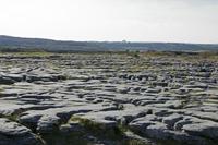 Cjp_2017-04-08_162334.jpg