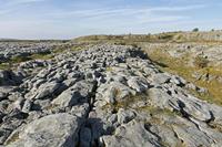 Cjp_2017-04-08_162444.jpg