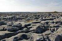 Cjp_2017-04-08_162540.jpg