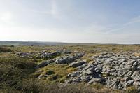 Cjp_2017-04-08_162750.jpg