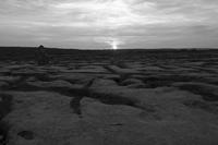 Cjp_2017-04-08_190846_NB.jpg