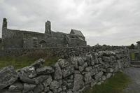 Cjp_2017-04-09_064642.jpg
