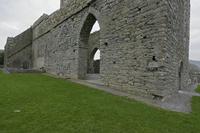 Cjp_2017-04-09_065010.jpg