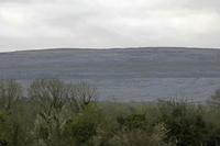 Cjp_2017-04-09_065412.jpg