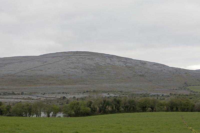 Cjp_2017-04-09_071120.jpg