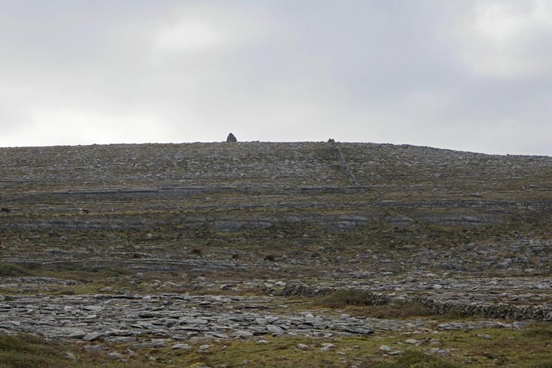 Cjp_2017-04-09_073608.jpg