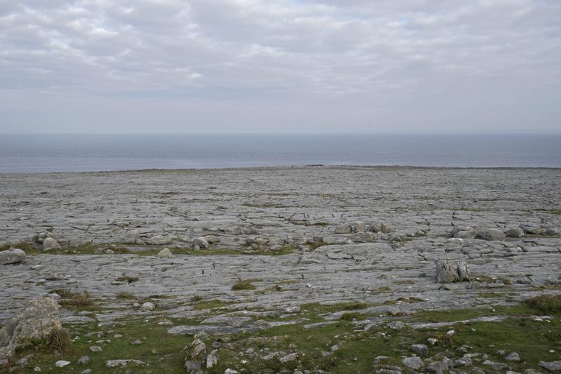 Cjp_2017-04-09_073942.jpg
