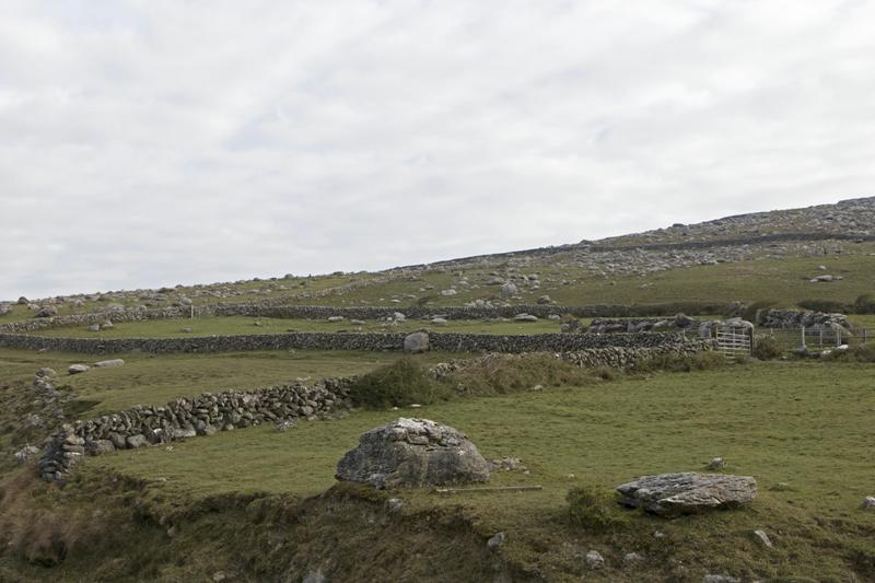 Cjp_2017-04-09_080024.jpg