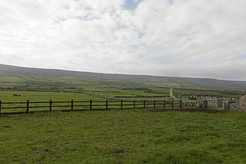 Cjp_2017-04-09_081348.jpg
