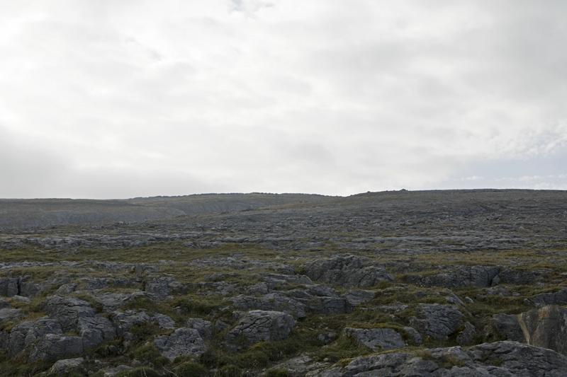 Cjp_2017-04-09_082004.jpg