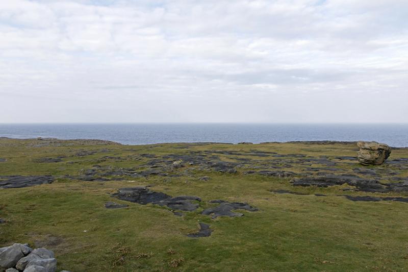 Cjp_2017-04-09_082330.jpg