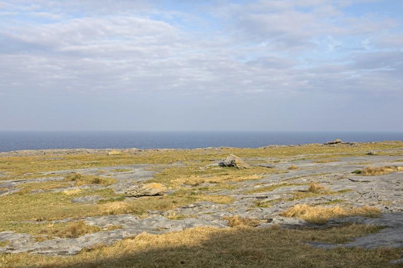 Cjp_2017-04-09_082436.jpg