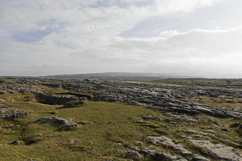 Cjp_2017-04-09_082702.jpg