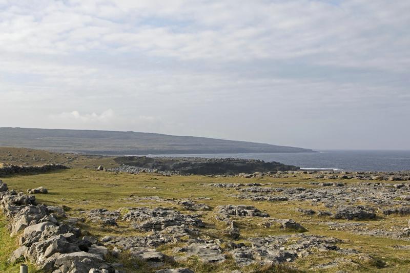 Cjp_2017-04-09_082812.jpg