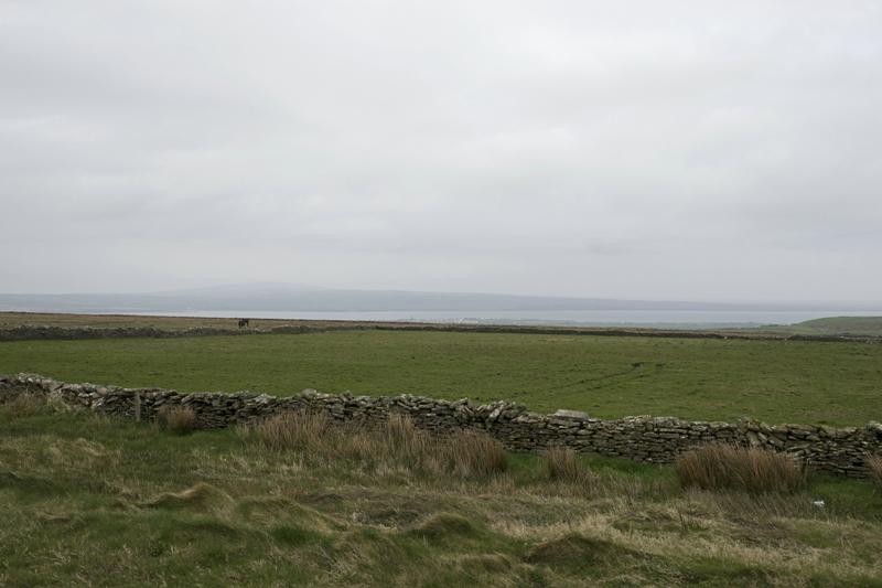 Cjp_2017-04-09_110314.jpg