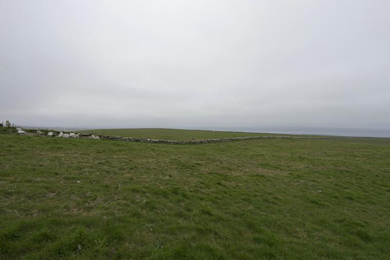 Cjp_2017-04-09_113748.jpg