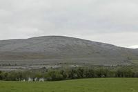 Cjp_2017-04-09_071120.jpg