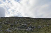Cjp_2017-04-09_073050.jpg