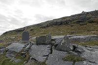 Cjp_2017-04-09_073410.jpg