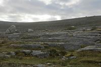 Cjp_2017-04-09_073718.jpg