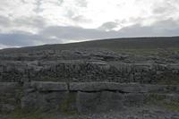 Cjp_2017-04-09_073902.jpg