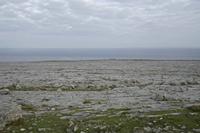 Cjp_2017-04-09_073942.jpg